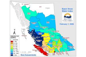 While much of British Columbia is at or above normal snowpack levels, Vancouver Island, Sjkagit, the South Coast and the Okanagan are considrably lower than normal. (Ministry of Water, Land and Resource Stewardship map)